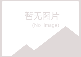 宁夏山柳化学有限公司